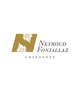 fdv-sponsor-neyroud-fonjallaz